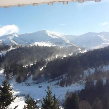 Les Cristallines